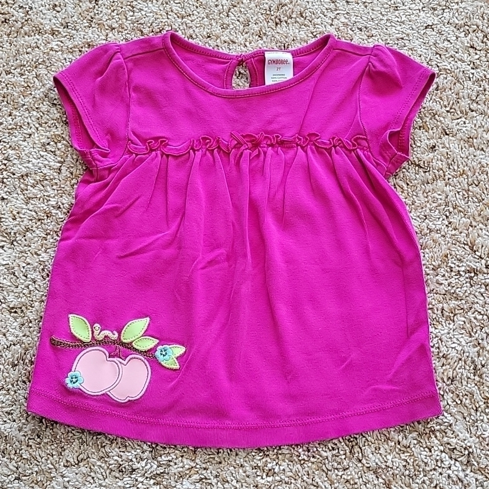 Gymboree top, 2T